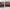 Eiger Casual Wallet Wanita Burgundy