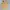 Vintage Y2K Cami top Wanita orange yellow photo 7