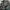 Parka Army Style Parka Fishtail Parka Mods Parka Vespa