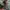 Parka Army Style Parka Fishtail Parka Mods Parka Vespa photo 4