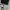 Michael Kors Minimalist Casual Shoulder bag Wanita black photo 1