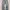 True Religion Billy Super T Distressed Bootcut Jeans