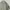 Adidas Parsley Adicolor Track Bomber Jacket photo 5