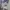 Bungo Stray Dogs Light Novel: 55 Minutes photo 3