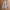 Streetwear Gorpcore Tracksuit Pria gray photo 2
