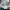 DICKIES • 85283 DOUBLEKNEE LOOSE FIT • LINCOLN GREEN photo 7