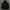Hoodie Markgonzales photo 1