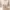 Love Bonito Twist Front Top Nude Cream Zipper Samping photo 1