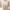 Love Bonito Twist Front Top Nude Cream Zipper Samping