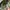 British army dpm combat trousers cs95 photo 6