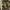British army dpm combat trousers cs95 photo 7