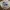 VANS Casual Sneakers Kids white black photo 1