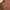 Atasan mystyle photo 1
