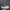 Adidas Sportswear Sneakers Pria Green Gray