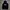 Hoodie Dickies