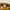 Kipling Vintage Casual Hat Pria tan photo 2