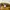 Kipling Vintage Casual Hat Pria Tan