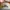 Topi Vintage Two Tone Dad Hat Defiance Gas Station photo 2
