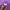 WHO.A.U Purple Shirt 