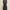 ZARA TRF Black Denim Bodycon Dress Charcoal XS Original