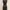 ZARA TRF Black Denim Bodycon Dress Charcoal XS Original photo 3