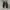 Converse one star suede  photo 3