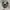Converse Cinverse one star ox leather  photo 2