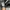 Converse Cinverse one star ox leather  photo 7