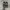 Converse Cinverse one star ox leather  photo 4