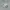 Adidas Streetwear Casual Sneakers Wanita gray photo 1