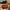 Loafers Haruta 906 Genuine leather photo 3