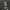 Ghost Busters photo 2