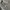 Zipper Hoodie nike Tech photo 4