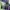 Aurora Forest Mesh Top Cyber Fairycore Pastel Psychedelic photo 6