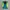 Kaos Renoma Athletic Sport Vest Jersey photo 2