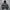 Padded jacket Nike  photo 2