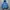 Puffer jacket Norway  photo 1