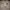 Manchester United F.C. 2018-19 Away Shirt photo 4