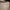Manchester United F.C. 2018-19 Away Shirt photo 6