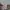 Manchester United F.C. 2018-19 Away Shirt photo 3