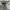 Hoodie Carharrt SpellOut Broken White  K288 W03
 photo 4
