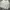 Hoodie Carharrt SpellOut Broken White  K288 W03
