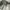 Hoodie Carharrt SpellOut Broken White  K288 W03
 photo 6