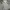 Hoodie Carhartt SpellOut Gray K288 HGY