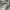 Hoodie Carhartt SpellOut Gray K288 HGY photo 6