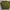 N.J. Clothing Company Knit Sweater Olive Green 
