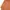 Unknown Orange Shirt photo 4