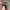 70’s Vietnam War Bucket Head Canvas Jungle Military photo 1