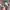 70’s Vietnam War Bucket Head Canvas Jungle Military photo 2
