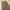 United Arrows Japan Beauty & Youth Khakis Wide Straight Fati photo 2